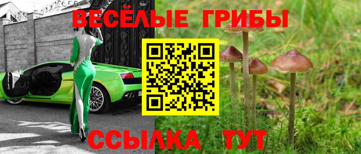 Псилоцибиновые грибы прущие грибы  Псилоцибиновые грибы GOLDEN TEACHER  Сургут  Вход с VPN 